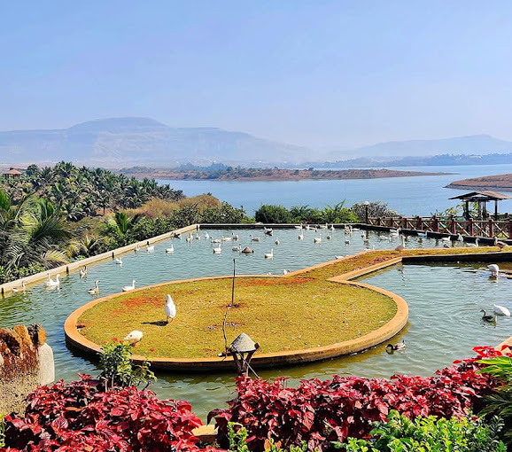 FAZLANI NATURES NEST HEALTH AND WELLNESS RETREAT LONAVALA